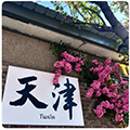 天津sm圈